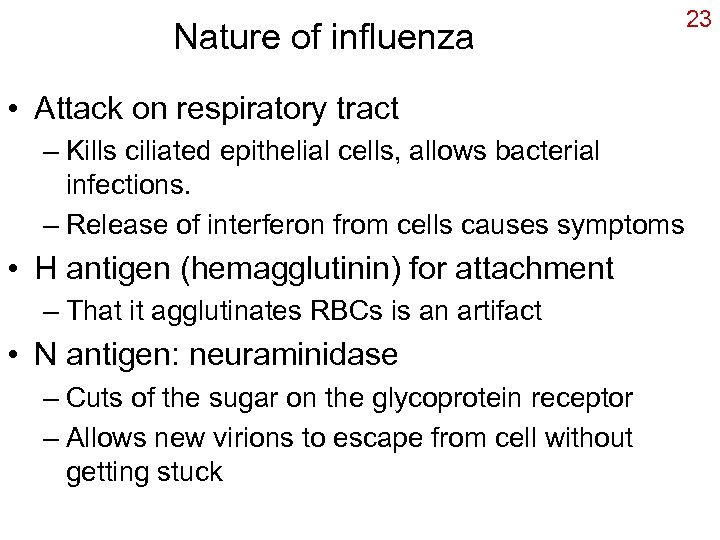 Nature of influenza • Attack on respiratory tract – Kills ciliated epithelial cells, allows