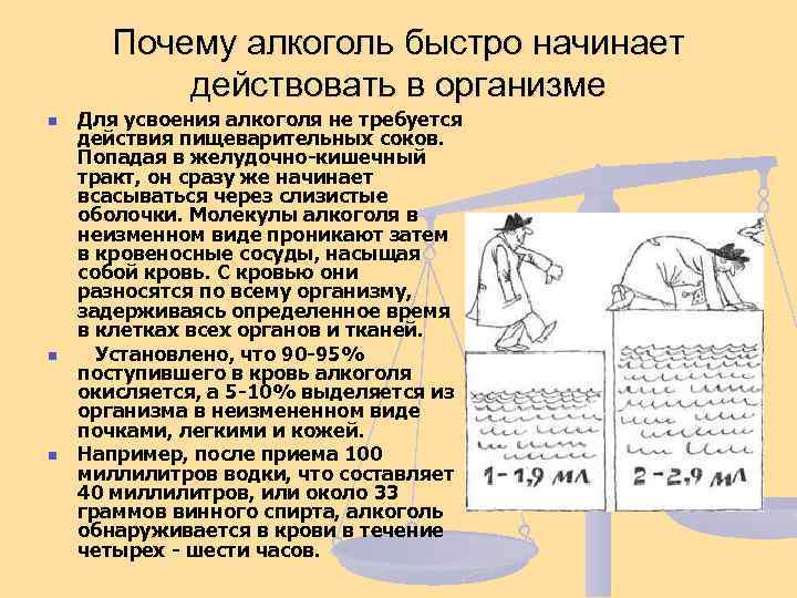 Почему алкоголь быстро начинает действовать в организме n n n Для усвоения алкоголя не