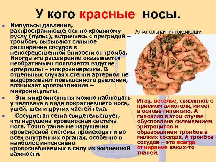У кого красные носы. n n n Импульсы давления, распространяющегося по кровяному Алкогольная интоксикация
