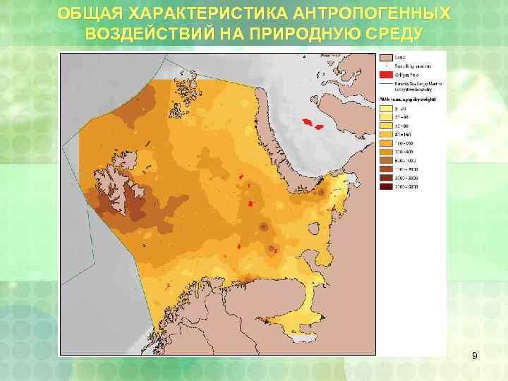 ОБЩАЯ ХАРАКТЕРИСТИКА АНТРОПОГЕННЫХ ВОЗДЕЙСТВИЙ НА ПРИРОДНУЮ СРЕДУ 9 