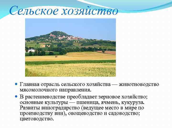 Сельское хозяйство Главная отрасль сельского хозяйства — животноводство мясомолочного направления. В растениеводстве преобладает зерновое