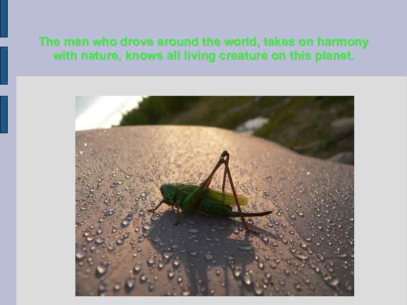 The man who drove around the world, takes on harmony with nature, knows all