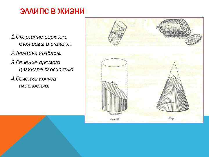 ЭЛЛИПС В ЖИЗНИ 1. Очертание верхнего слоя воды в стакане. 2. Ломтики колбасы. 3.