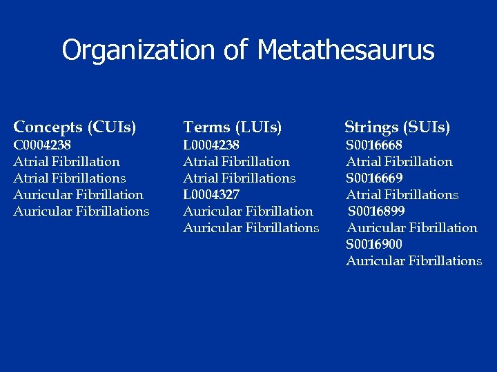 Organization of Metathesaurus Concepts (CUIs) Terms (LUIs) Strings (SUIs) C 0004238 Atrial Fibrillations Auricular