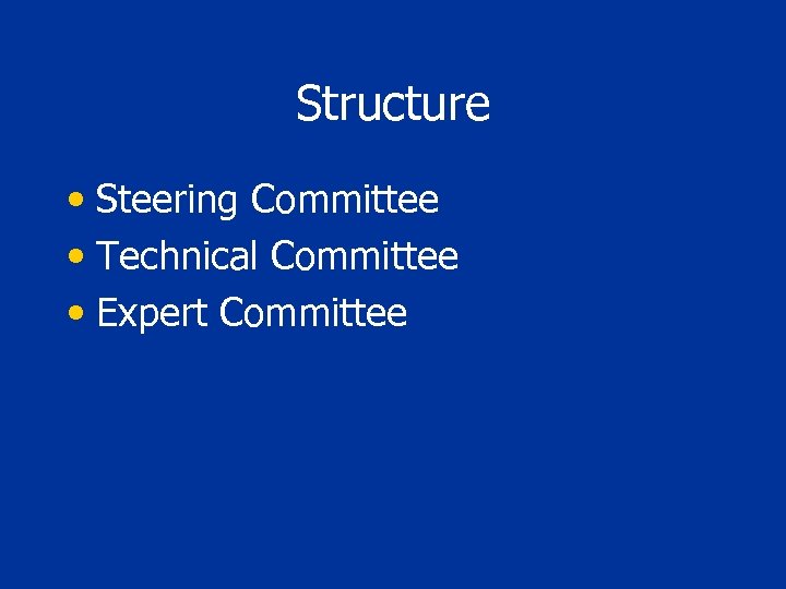 Structure • Steering Committee • Technical Committee • Expert Committee 