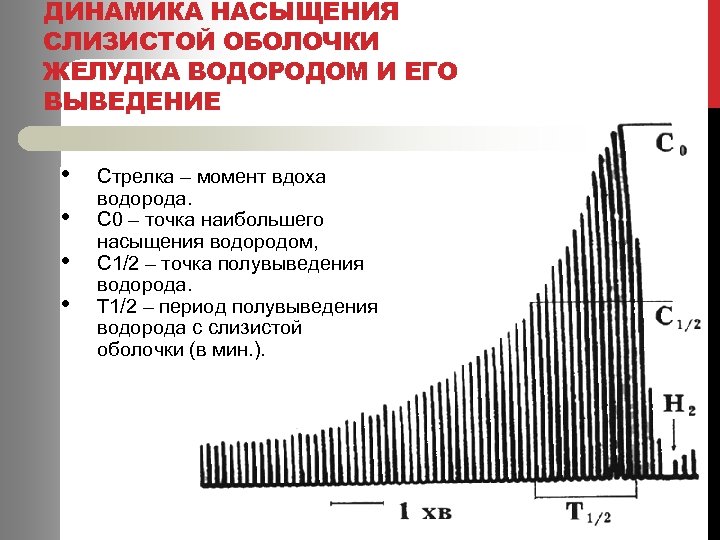 ДИНАМИКА НАСЫЩЕНИЯ СЛИЗИСТОЙ ОБОЛОЧКИ ЖЕЛУДКА ВОДОРОДОМ И ЕГО ВЫВЕДЕНИЕ • • Стрелка – момент
