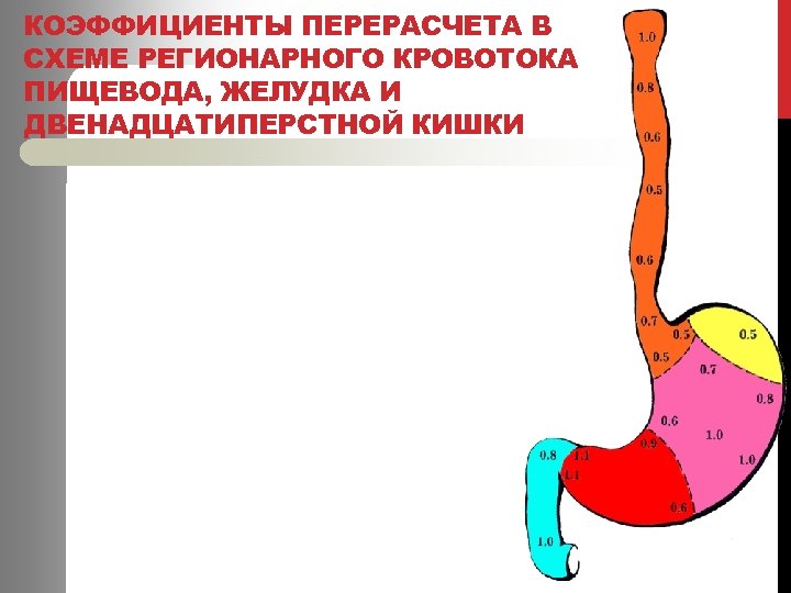 КОЭФФИЦИЕНТЫ ПЕРЕРАСЧЕТА В СХЕМЕ РЕГИОНАРНОГО КРОВОТОКА ПИЩЕВОДА, ЖЕЛУДКА И ДВЕНАДЦАТИПЕРСТНОЙ КИШКИ 