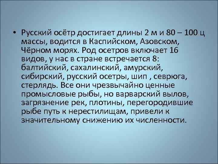  • Русский осётр достигает длины 2 м и 80 – 100 ц массы,