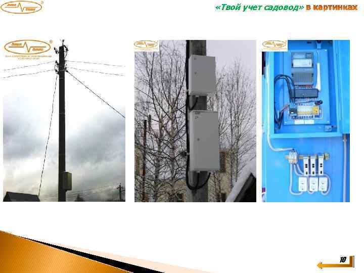  «Твой учет садовод» 10 