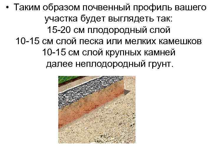  • Таким образом почвенный профиль вашего участка будет выглядеть так: 15 -20 см