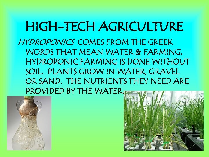 HIGH-TECH AGRICULTURE HYDROPONICS COMES FROM THE GREEK WORDS THAT MEAN WATER & FARMING. HYDROPONIC