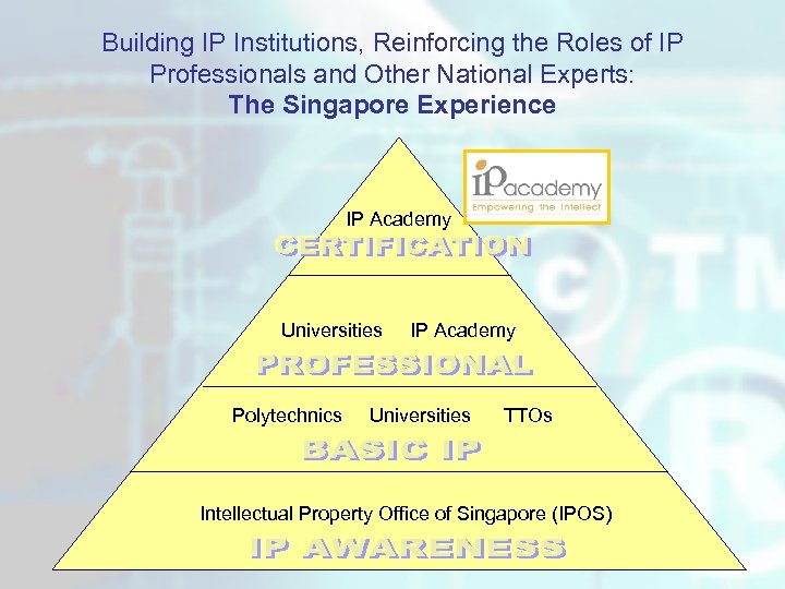 Building IP Institutions, Reinforcing the Roles of IP Professionals and Other National Experts: The