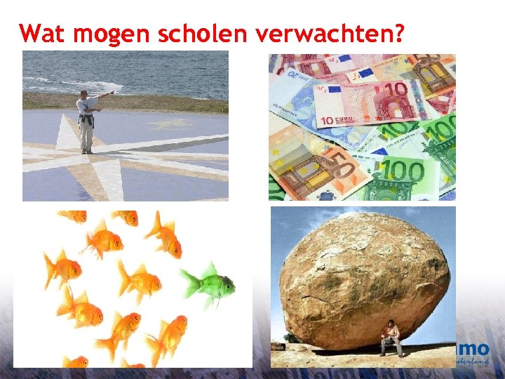 Wat mogen scholen verwachten? 12 