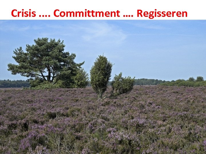 Crisis. . Committment …. Regisseren 8 