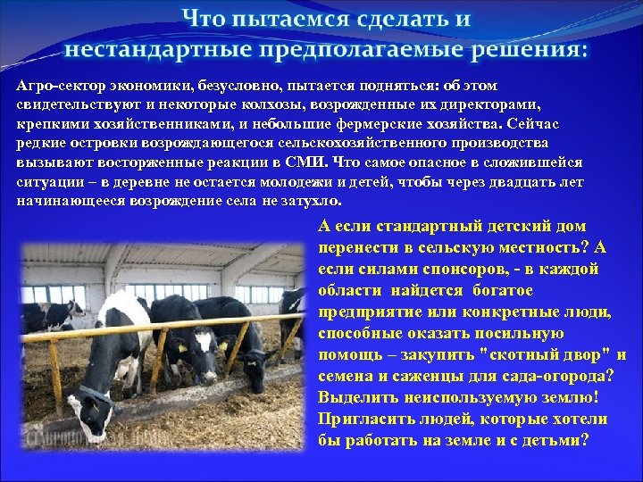Агро-сектор экономики, безусловно, пытается подняться: об этом свидетельствуют и некоторые колхозы, возрожденные их директорами,