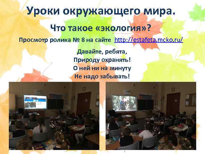 Уроки окружающего мира. Что такое «экология» ? Просмотр ролика № 8 на сайте http: