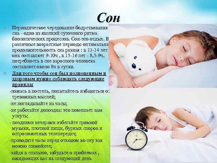 Сон Периодическое чередование бодрствования и сна - одно из явлений суточного ритма биологических процессов.
