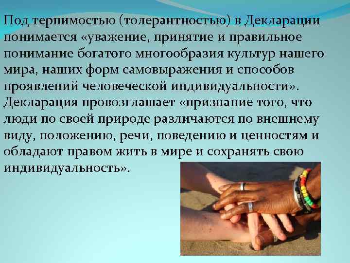 Под терпимостью (толерантностью) в Декларации понимается «уважение, принятие и правильное понимание богатого многообразия культур