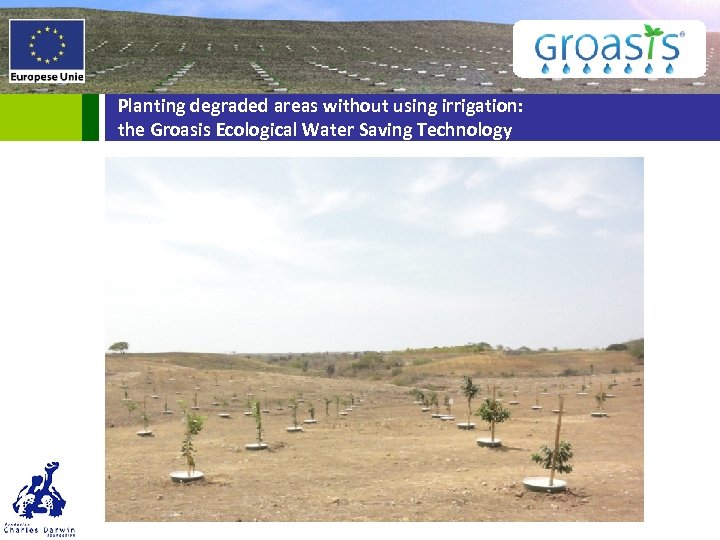 Planting degraded areas without using irrigation: the Groasis Ecological Water Saving Technology 