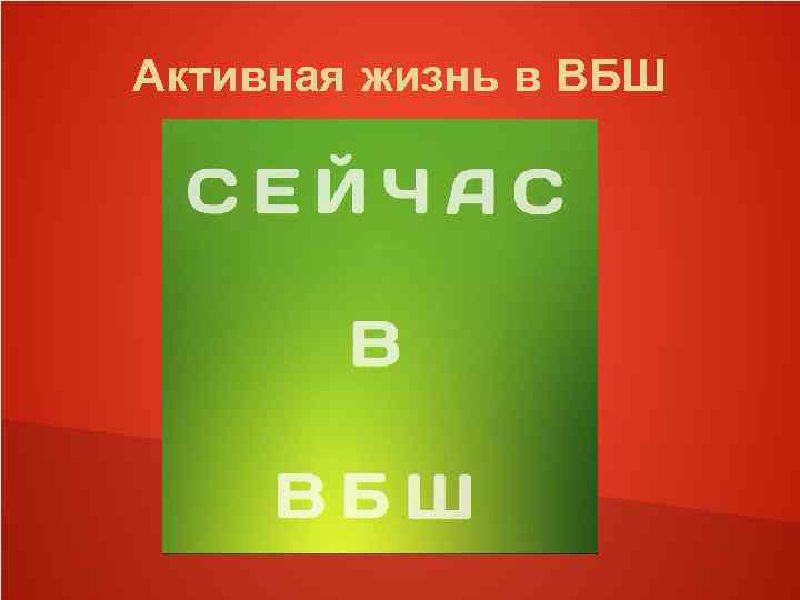 Активная жизнь в ВБШ 