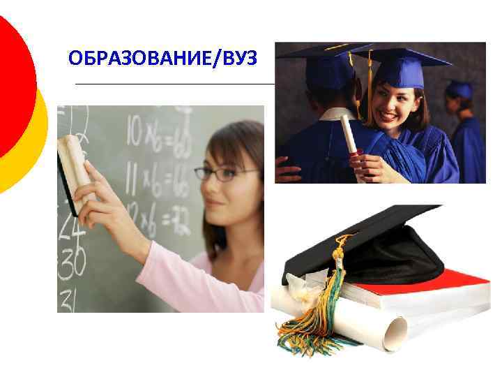 ОБРАЗОВАНИЕ/ВУЗ 