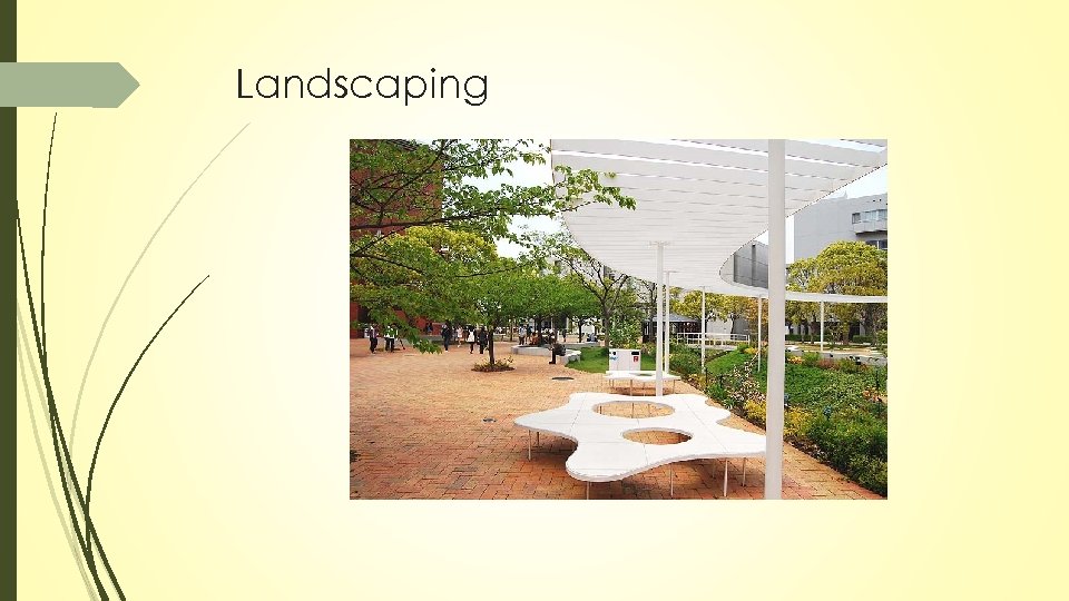 Landscaping 