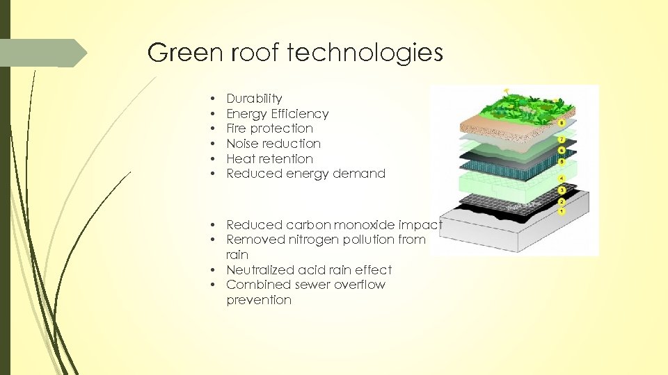 Green roof technologies • • • Durability Energy Efficiency Fire protection Noise reduction Heat