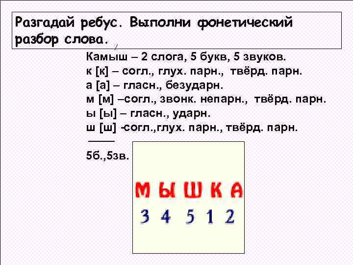 Разгадай ребус. Выполни фонетический разбор слова. Камыш – 2 слога, 5 букв, 5 звуков.