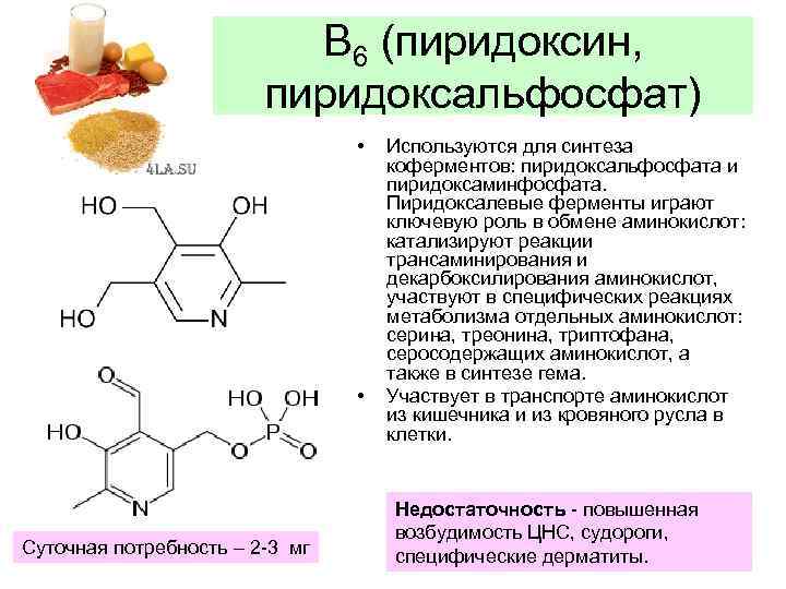 В 6 (пиридоксин, пиридоксальфосфат) • • Суточная потребность – 2 -3 мг Используются для