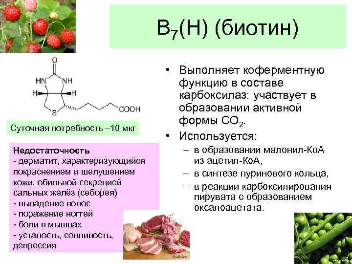 В 7(Н) (биотин) Суточная потребность – 10 мкг Недостаточность - дерматит, характеризующийся покраснением и