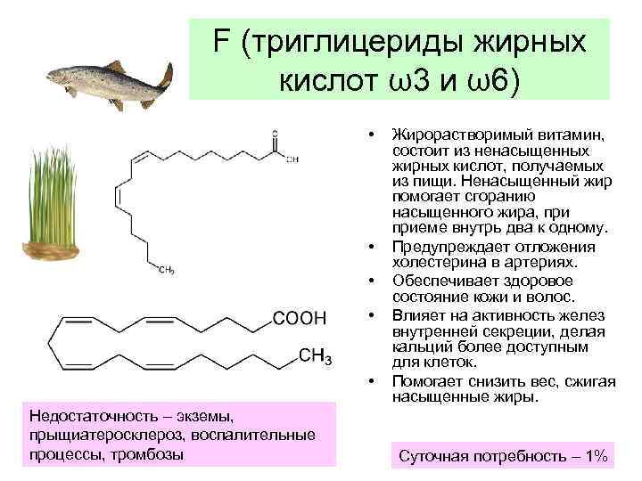 F (триглицериды жирных кислот ω3 и ω6) • • • Недостаточность – экземы, прыщиатеросклероз,