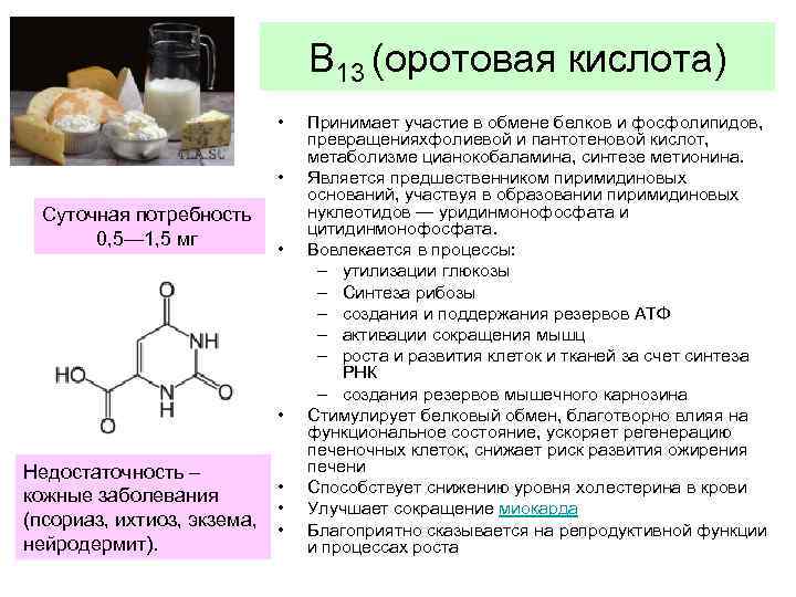 В 13 (оротовая кислота) • • Суточная потребность 0, 5— 1, 5 мг •