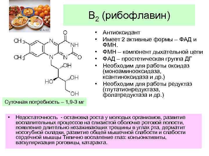 В 2 (рибофлавин) • Антиоксидант • Имеет 2 активные формы – ФАД и ФМН.