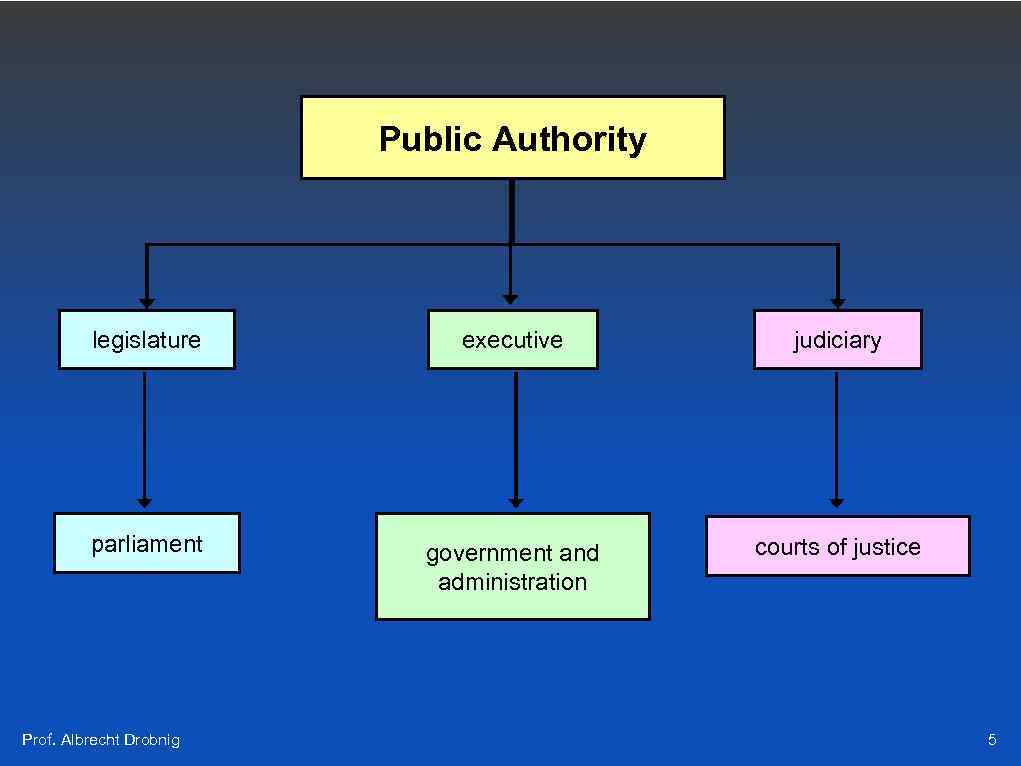 Public Authority legislature executive judiciary parliament government and administration courts of justice Prof. Albrecht