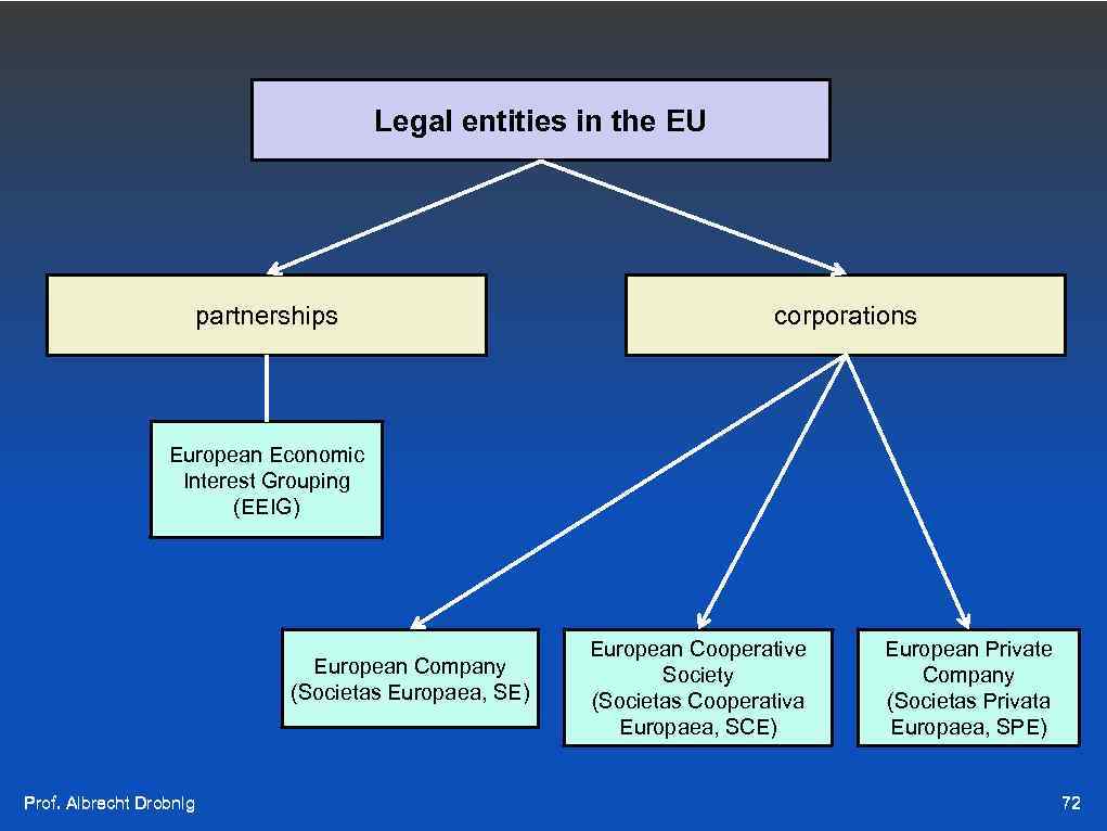Legal entities in the EU partnerships corporations European Economic Interest Grouping (EEIG) European Company