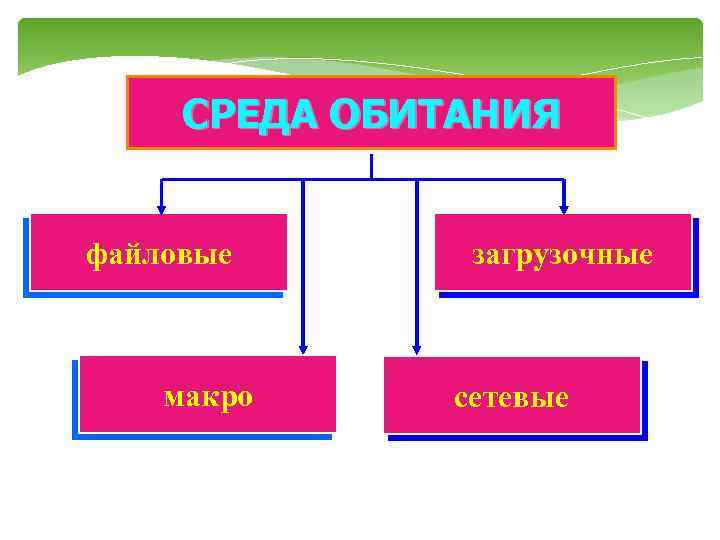СРЕДА ОБИТАНИЯ файловые макро загрузочные сетевые 