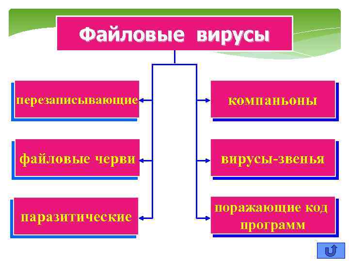 Файловые вирусы перезаписывающие компаньоны файловые черви вирусы-звенья паразитические поражающие код программ 
