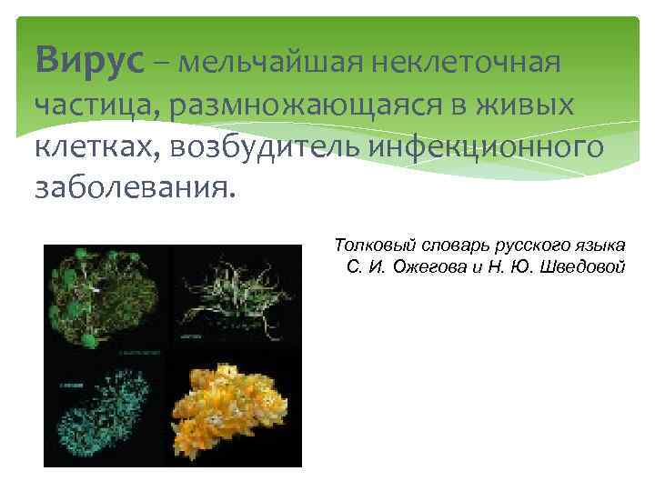 Вирус – мельчайшая неклеточная частица, размножающаяся в живых клетках, возбудитель инфекционного заболевания. Толковый словарь