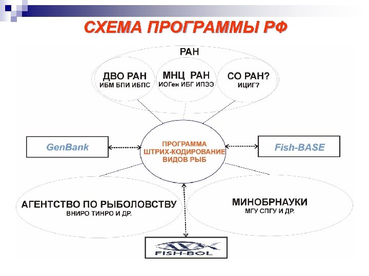 СХЕМА ПРОГРАММЫ РФ 