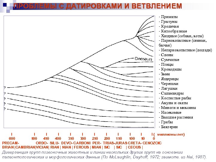 ПРОБЛЕМЫ С ДАТИРОВКАМИ И ВЕТВЛЕНИЕМ - Приматы - Грызуны - Кроличьи - Китообразные -