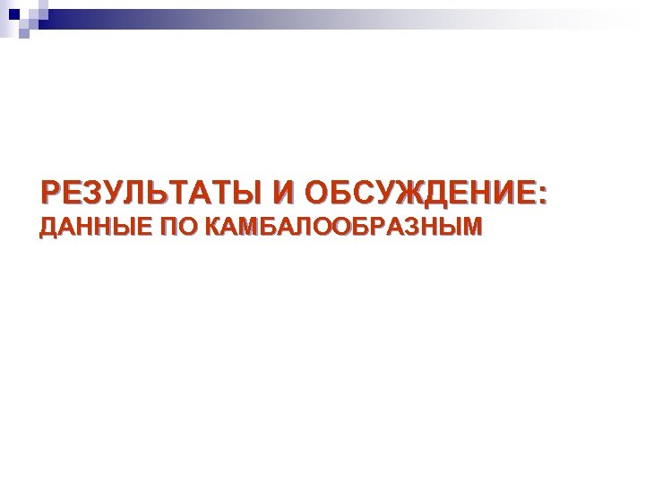 РЕЗУЛЬТАТЫ И ОБСУЖДЕНИЕ: ДАННЫЕ ПО КАМБАЛООБРАЗНЫМ 