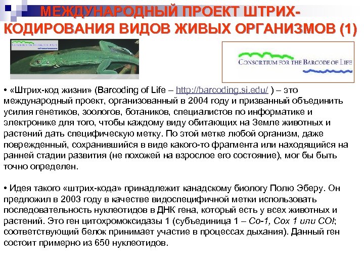 МЕЖДУНАРОДНЫЙ ПРОЕКТ ШТРИХКОДИРОВАНИЯ ВИДОВ ЖИВЫХ ОРГАНИЗМОВ (1) • «Штрих-код жизни» (Barcoding of Life –