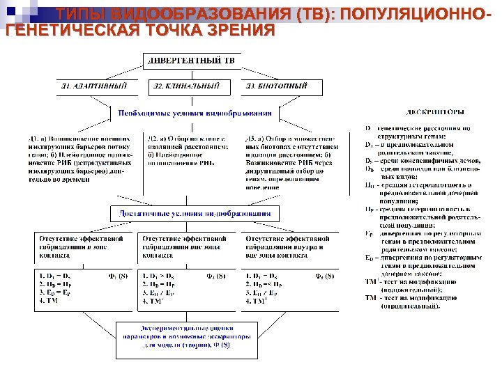 ТИПЫ ВИДООБРАЗОВАНИЯ (ТВ): ПОПУЛЯЦИОННОГЕНЕТИЧЕСКАЯ ТОЧКА ЗРЕНИЯ 