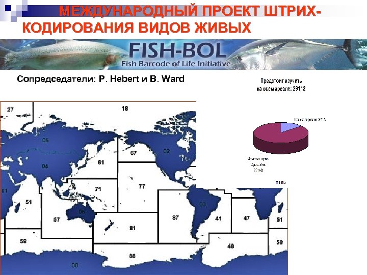 МЕЖДУНАРОДНЫЙ ПРОЕКТ ШТРИХКОДИРОВАНИЯ ВИДОВ ЖИВЫХ ОРГАНИЗМОВ (3) Сопредседатели: P. Hebert и B. Ward •