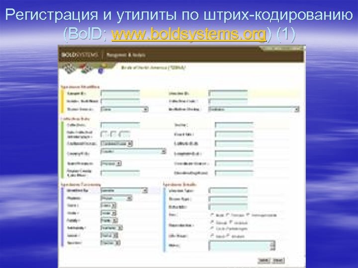 Регистрация и утилиты по штрих-кодированию (Bol. D; www. boldsystems. org) (1) 