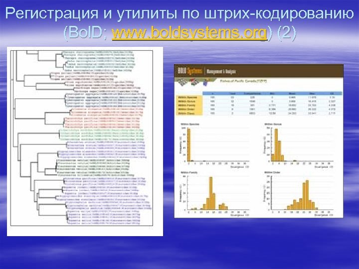 Регистрация и утилиты по штрих-кодированию (Bol. D; www. boldsystems. org) (2) 