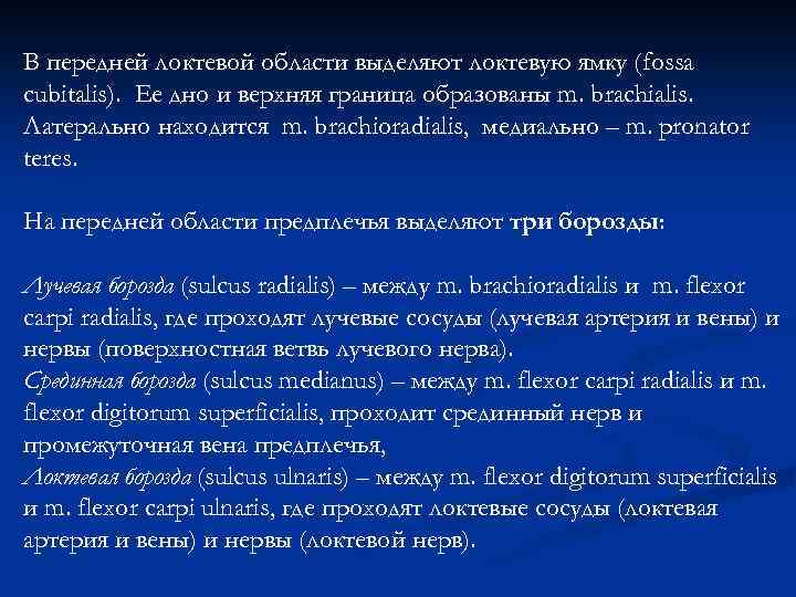 В передней локтевой области выделяют локтевую ямку (fossa cubitalis). Ее дно и верхняя граница