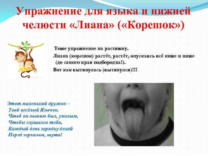 Упражнение для языка и нижней челюсти «Лиана» ( «Корешок» ) Тоже упражнение на растяжку.