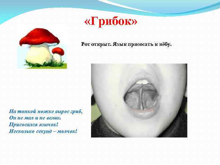  «Грибок» Рот открыт. Язык присосать к нёбу. На тонкой ножке вырос гриб, Он