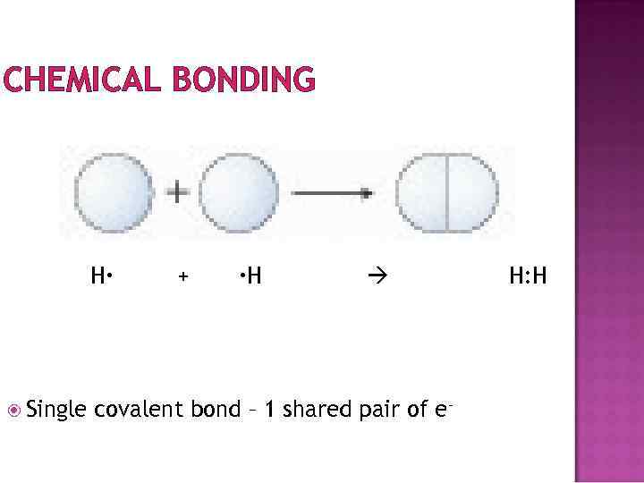 CHEMICAL BONDING H Single + H covalent bond – 1 shared pair of e-